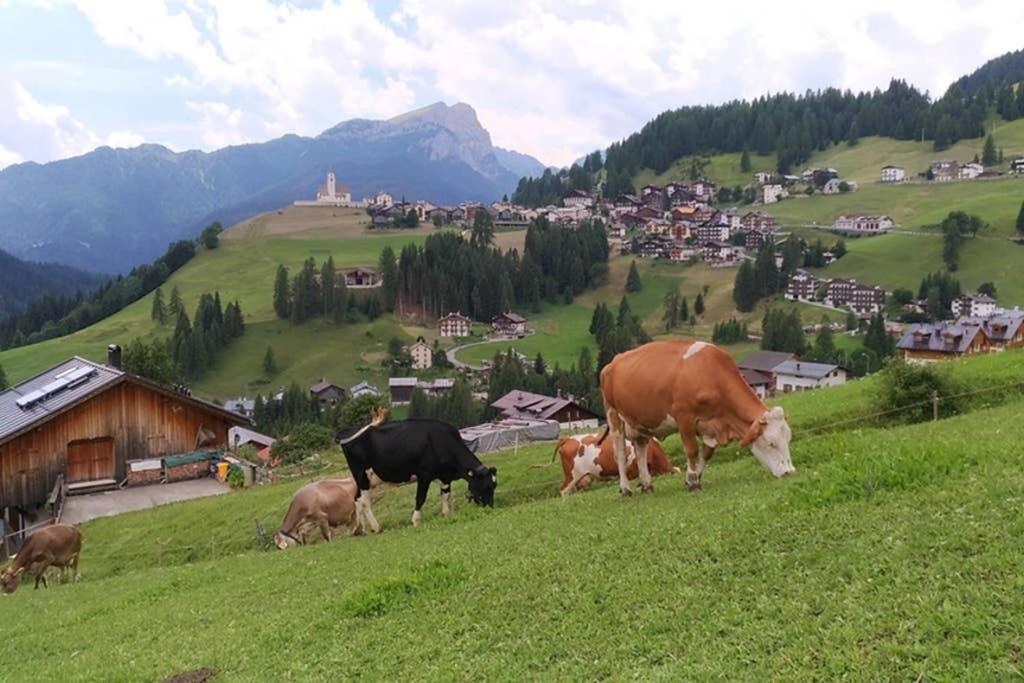 App. Monte Pore - Agriturismo La Majon Колле-Санта-Лучия Экстерьер фото